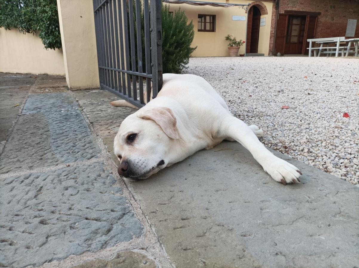 Podere Il Belvedere Su Cortona คาสติญโญน ฟิโอเรนทิโน ภายนอก รูปภาพ